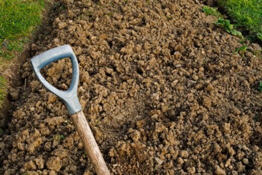 À épingler : Transformez votre sol argileux en terre fertile : astuces pratiques pour un jardin prospère
