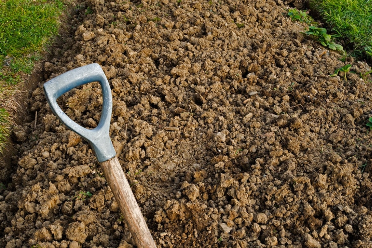 Un sol argileux au jardin