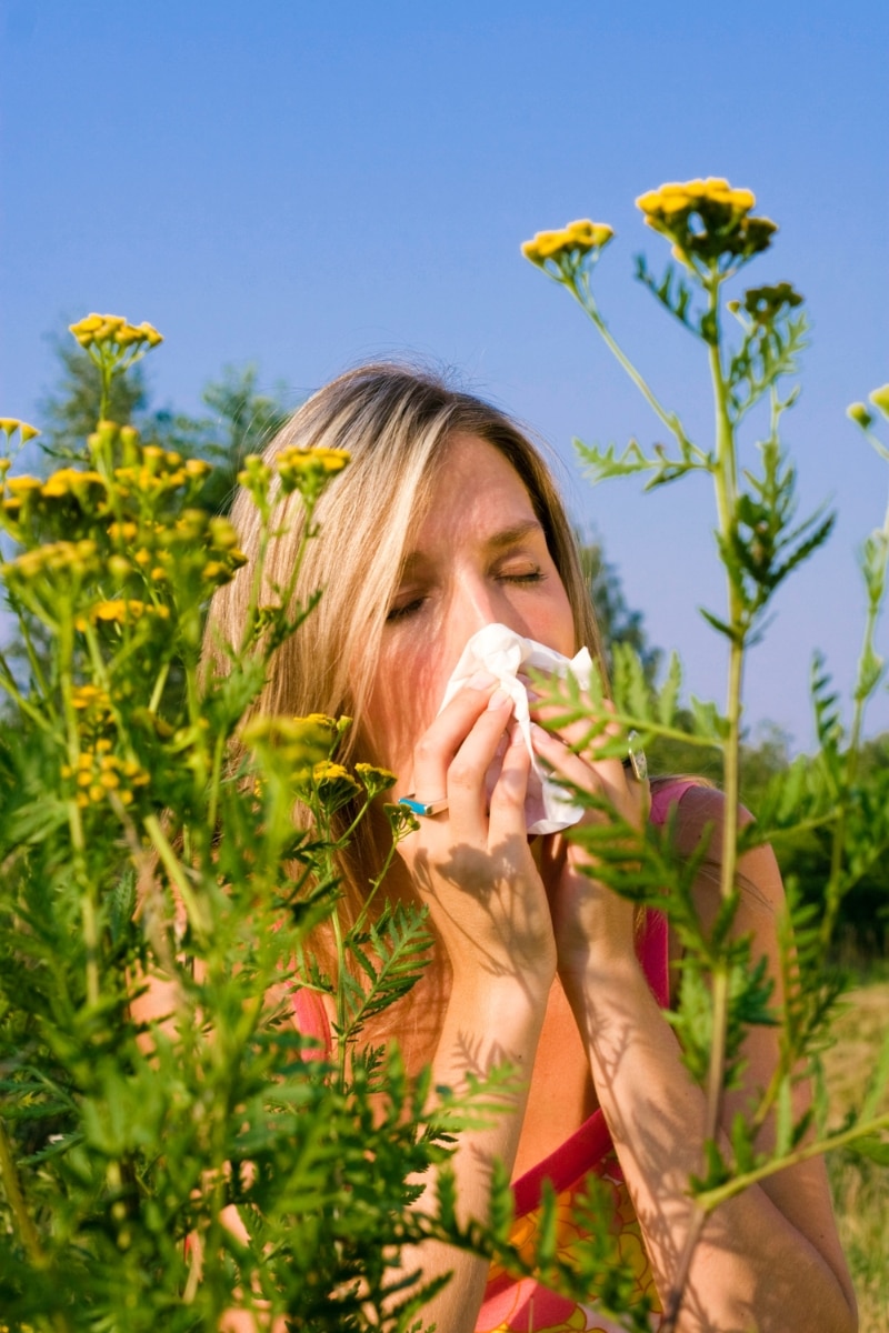 Une femme allergique au pollen