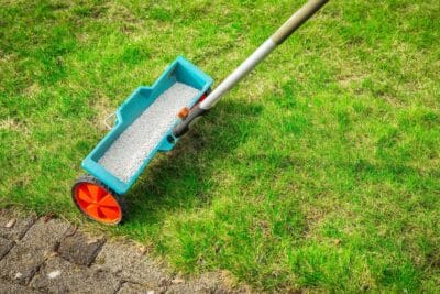 Utilisation de la chaux au jardin