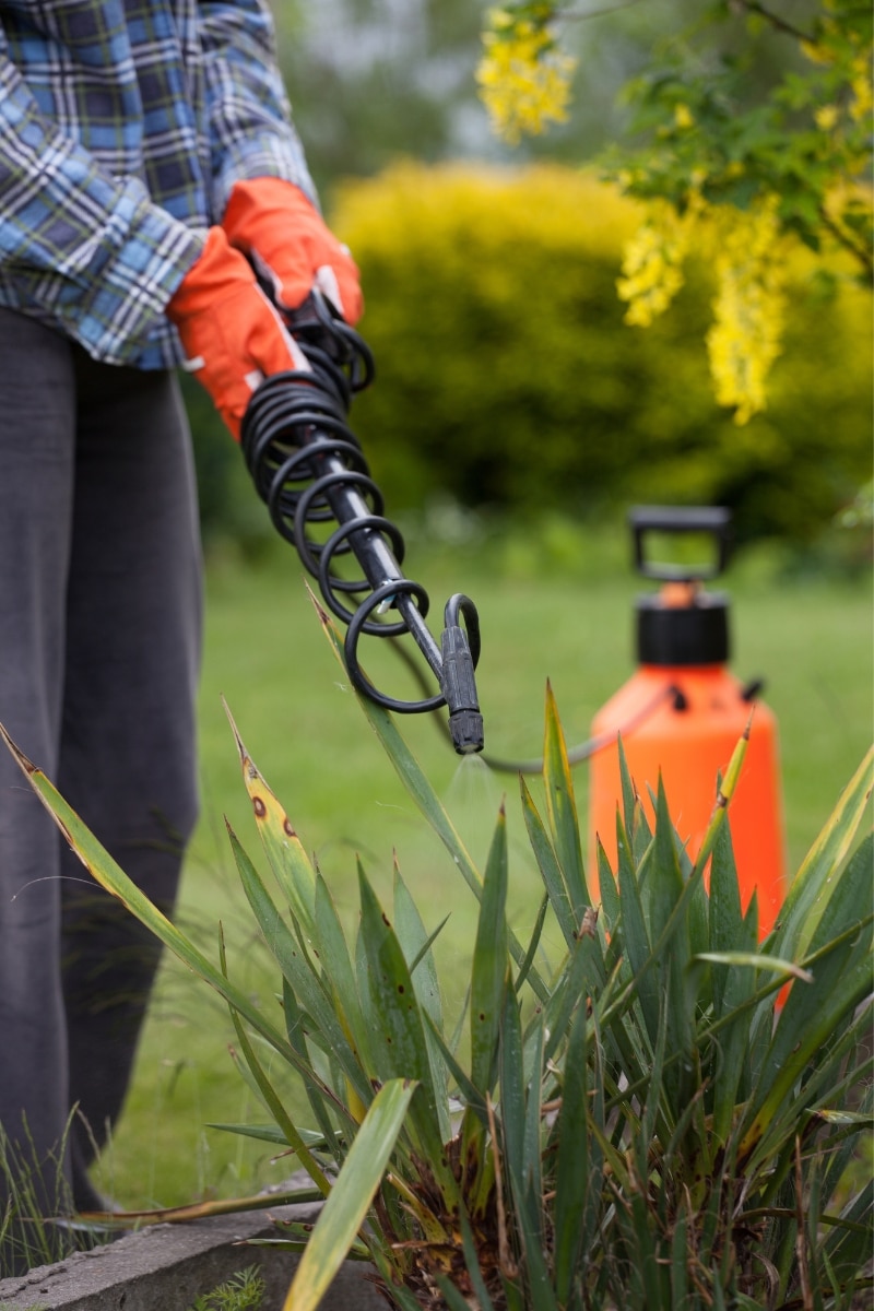 Utilisation de pesticides