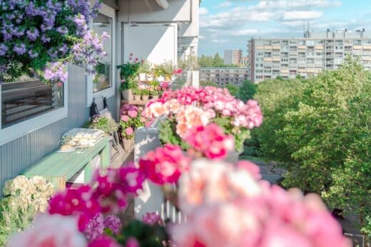 À épingler : 5 plantes en pot pour apporter une touche de couleur et de fraîcheur à votre balcon