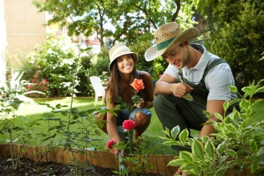 À épingler : 6 astuces de jardinier pour vous simplifier votre quotidien au jardin