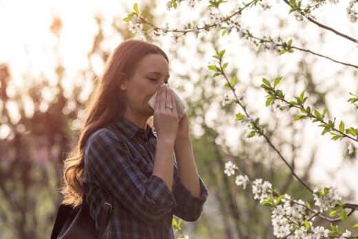 À épingler : Allergies aux pollens : 5 plantes efficaces à cultiver pour réduire les symptômes