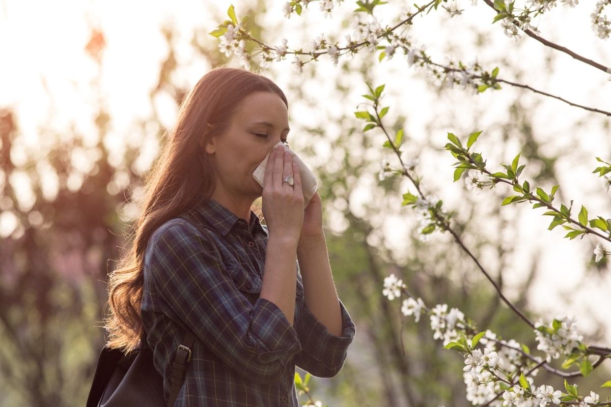Allergies 5 plantes efficaces à cultiver pour réduire les symptômes