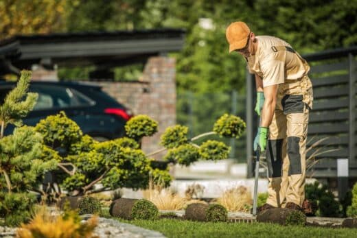 À épingler : Comment bénéficier d’un crédit d’impôt de 50 % pour vos travaux de jardinage : détails et conditions