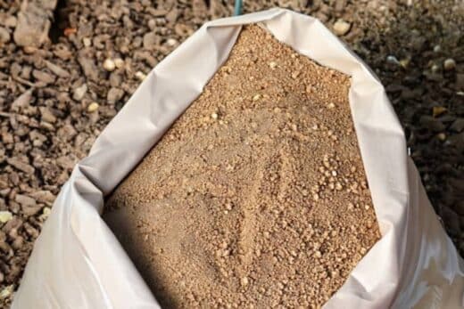 Le Guano Un Engrais Naturel Pour Booster La Croissance Et La le-guano-un-engrais-naturel-pour-booster-la-croissance-et-la