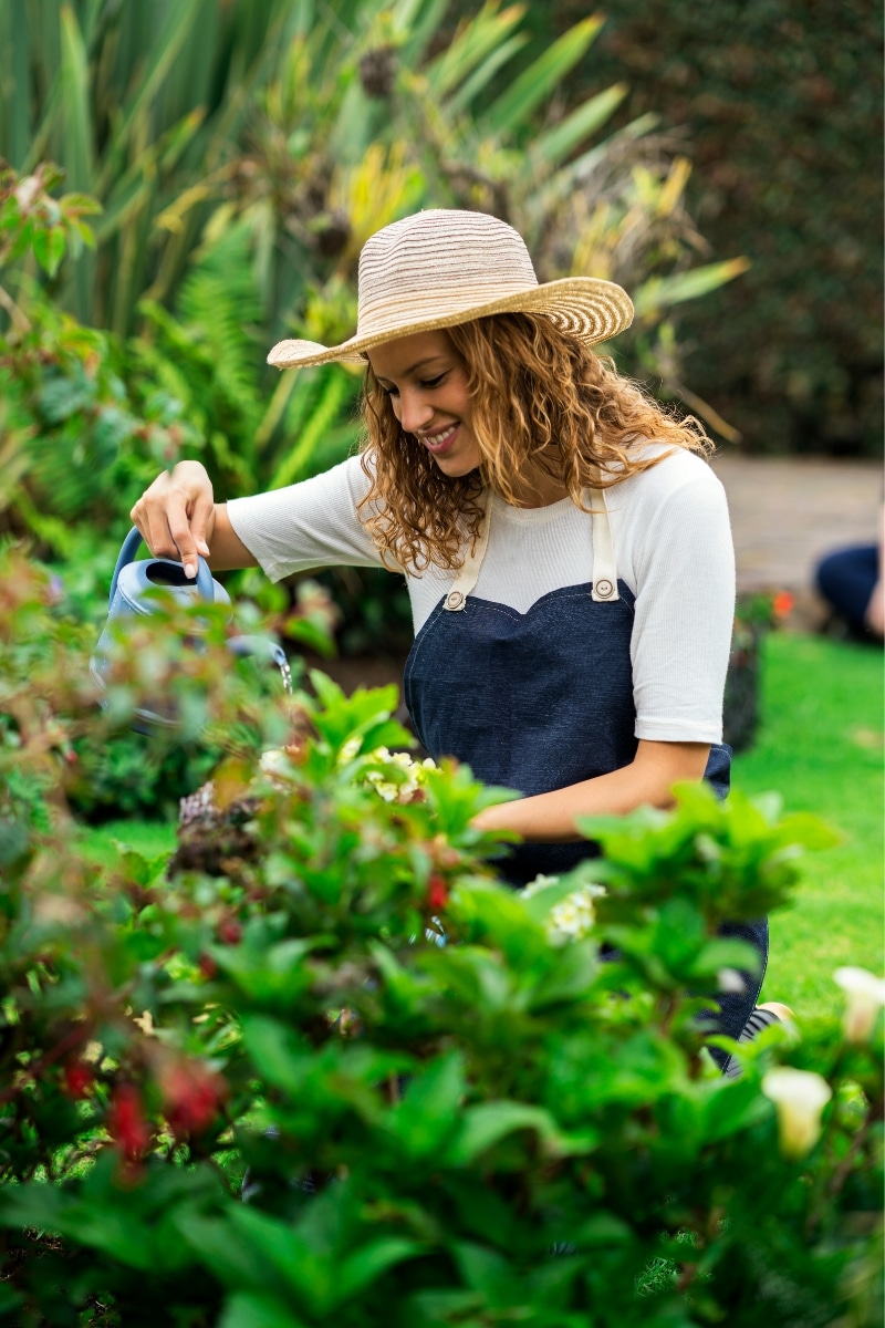 Planter des plantes dans son jardin