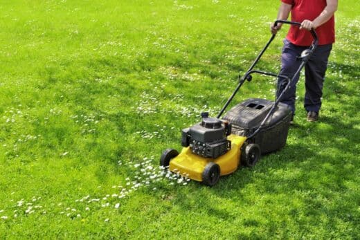 À épingler : Tondre la pelouse : a-t-on le droit de le faire le dimanche et durant les jours fériés ?
