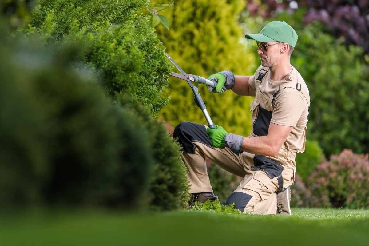 Travaux de jardinage assurés par un professionnel