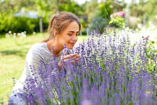 À épingler : 5 plantes à associer à la lavande pour un jardin coloré et esthétique