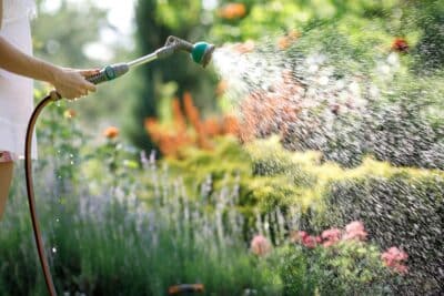 Arroser les plantes