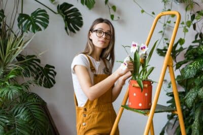 Comment prendre soin de votre orchidée pour une floraison éclatante