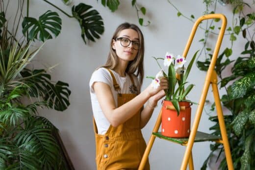 À épingler : Comment prendre soin de votre orchidée pour une floraison éclatante ?