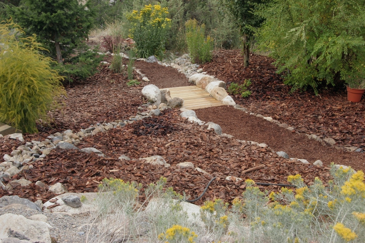 Le xéropaysagisme  une technique de jardinage pour faire de grosse économies d'eau cet été