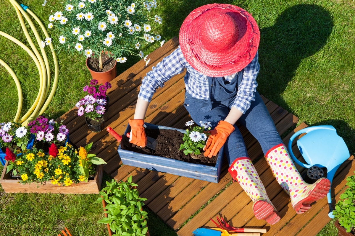 Les travaux de jardinage à réaliser en juin