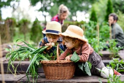 Un jardin bio