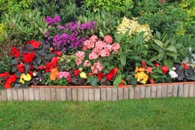 Un parterre de fleurs