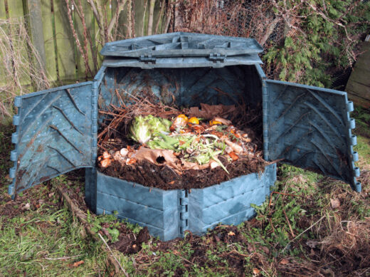 À épingler : Jardinage : 10 erreurs de compost qui peuvent tout gâcher ! Voici les aliments à bannir