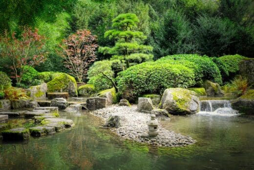 À épingler : Réussir son jardin en 2025 : Les conseils de mon paysagiste pour un jardin éclatant !
