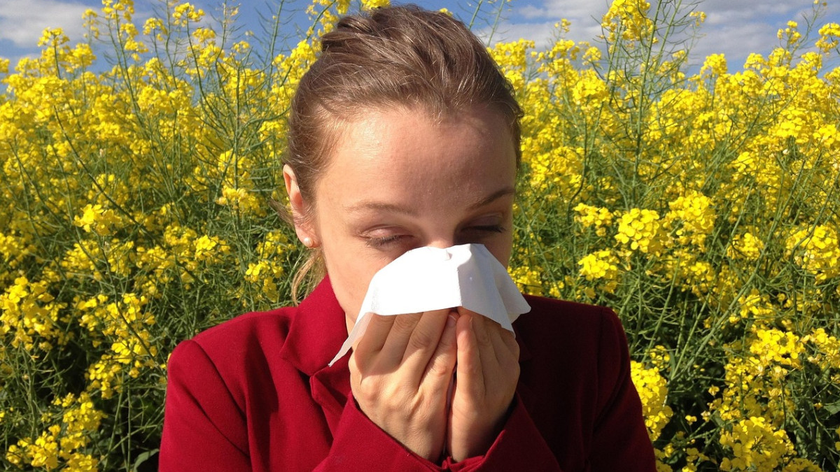 Allergies au pollen : les arbres les plus allergisants à surveiller ce printemps
