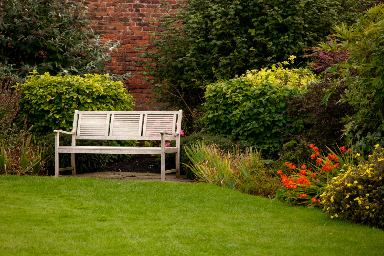 Jardin avec pelouse parfaite