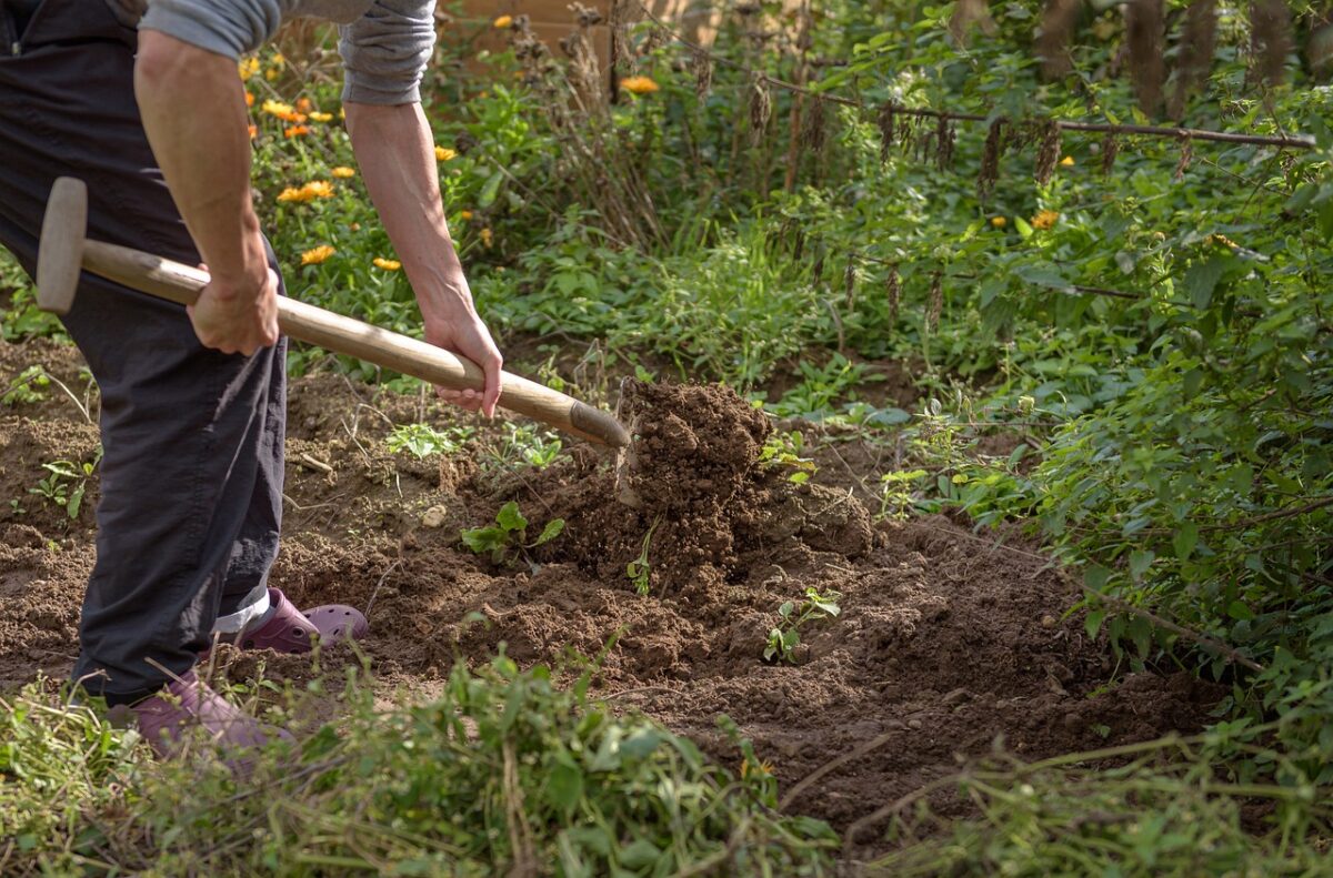 Jardinage au mois d'avril
