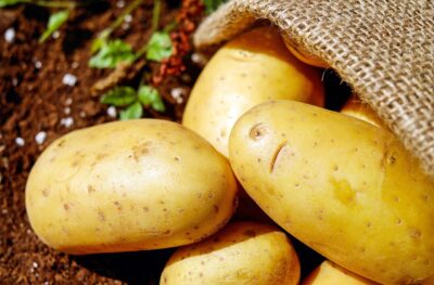 Stop aux pommes de terre qui germent trop vite : adoptez ces méthodes simples !