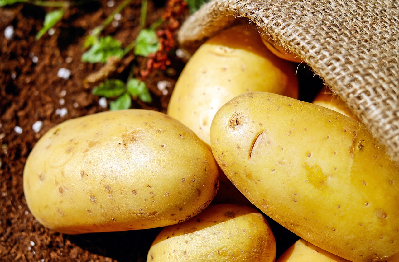 Stop aux pommes de terre qui germent trop vite : adoptez ces méthodes simples !
