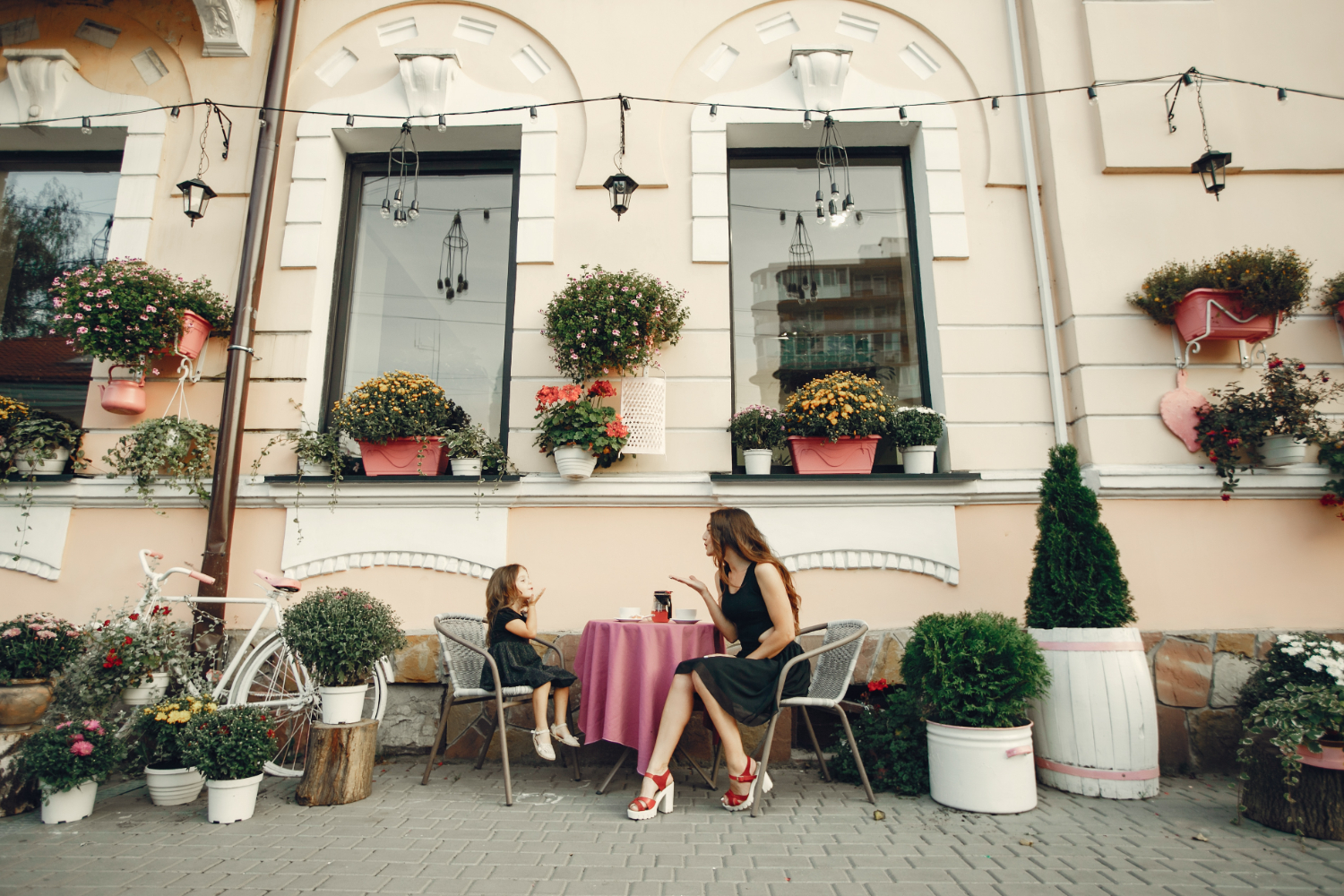 Terrasse verdoyante ces plantes faciles à cultiver en pot qui font toute la différence