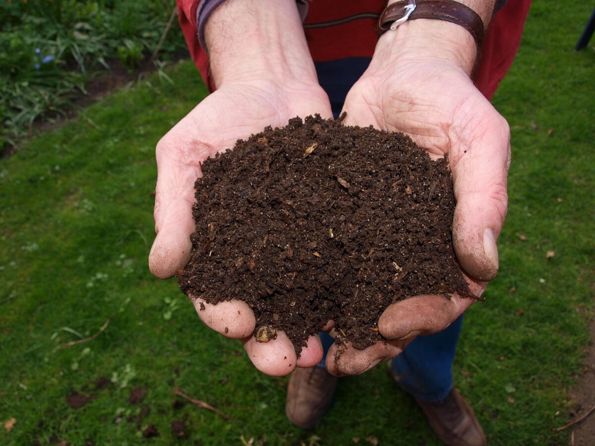 Utiliser le compost au printemps
