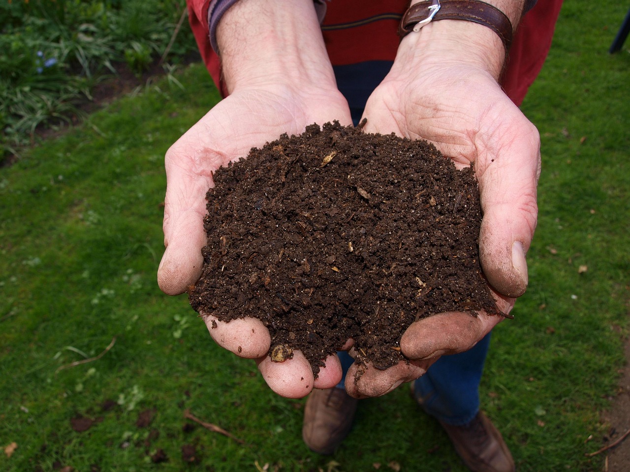 Utiliser le compost au printemps