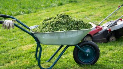 Utiliser l'herbe tondue