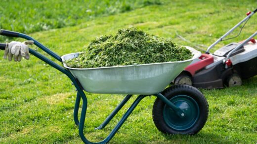 À épingler : Ne jetez plus votre herbe tondue : 5 usages surprenants pour lui donner une seconde vie !