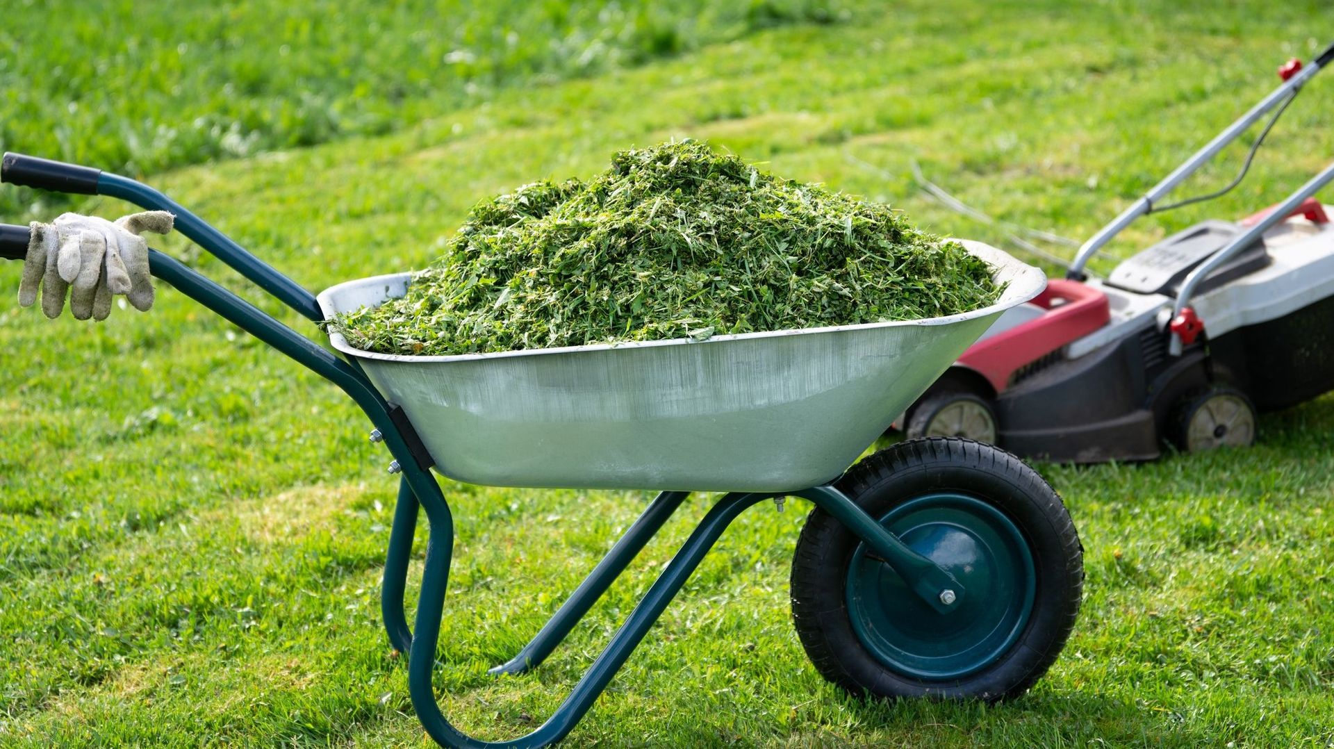 Utiliser l'herbe tondue