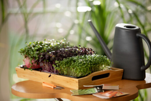 Balcon potager