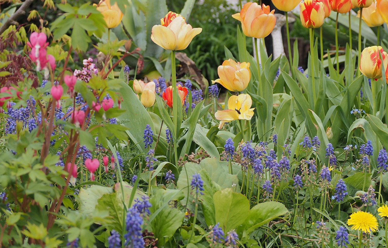 Jardin fleuri toute l'année