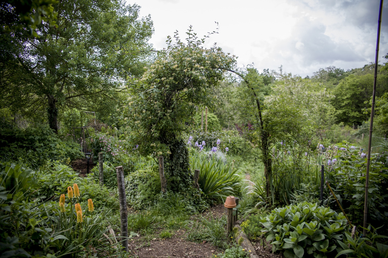 Jardin : le concept révolutionnaire pour un extérieur parfait sans entretien !