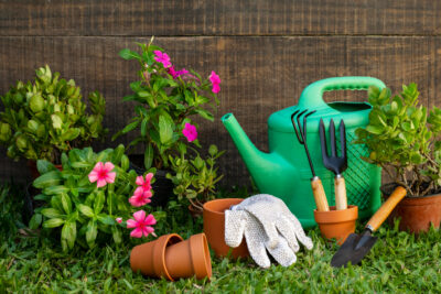 Mai au jardin les travaux incontournables