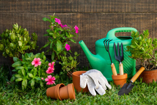 Mai au jardin les travaux incontournables