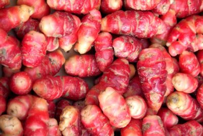 oca du Pérou