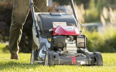 Tonte de pelouse quelle est la hauteur idéale pour un gazon en parfaite santé