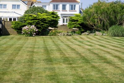 Votre pelouse après l’hiver comment lui redonner vie dès le printemps