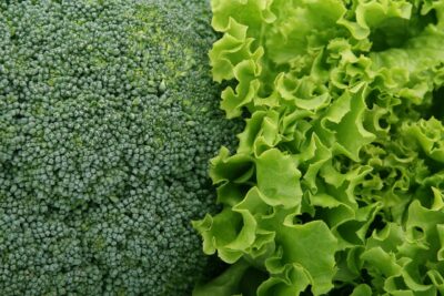 Brocoli laitue