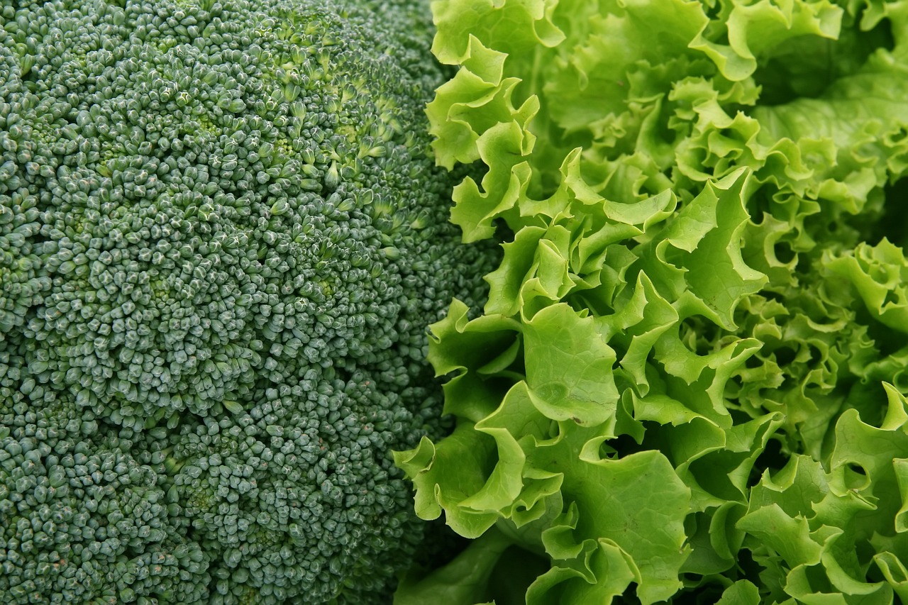 Brocoli laitue