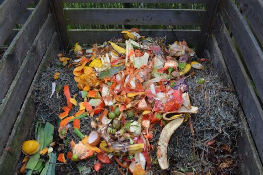 Compost au jardin