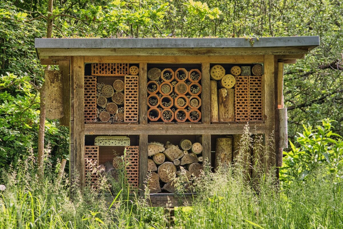 Hôtel a insectes
