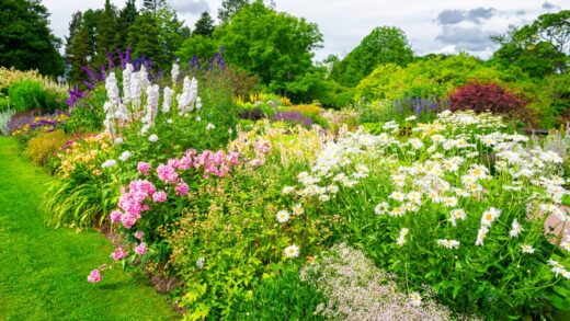 massif fleurs de jardin
