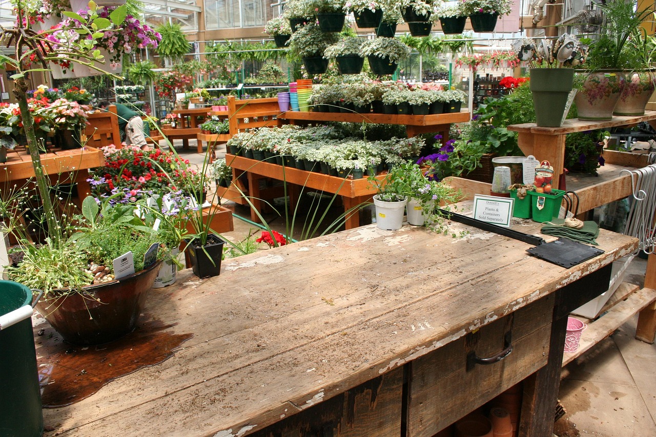 Plante en jardinerie