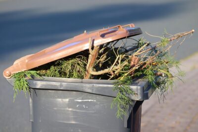 Déchets verts